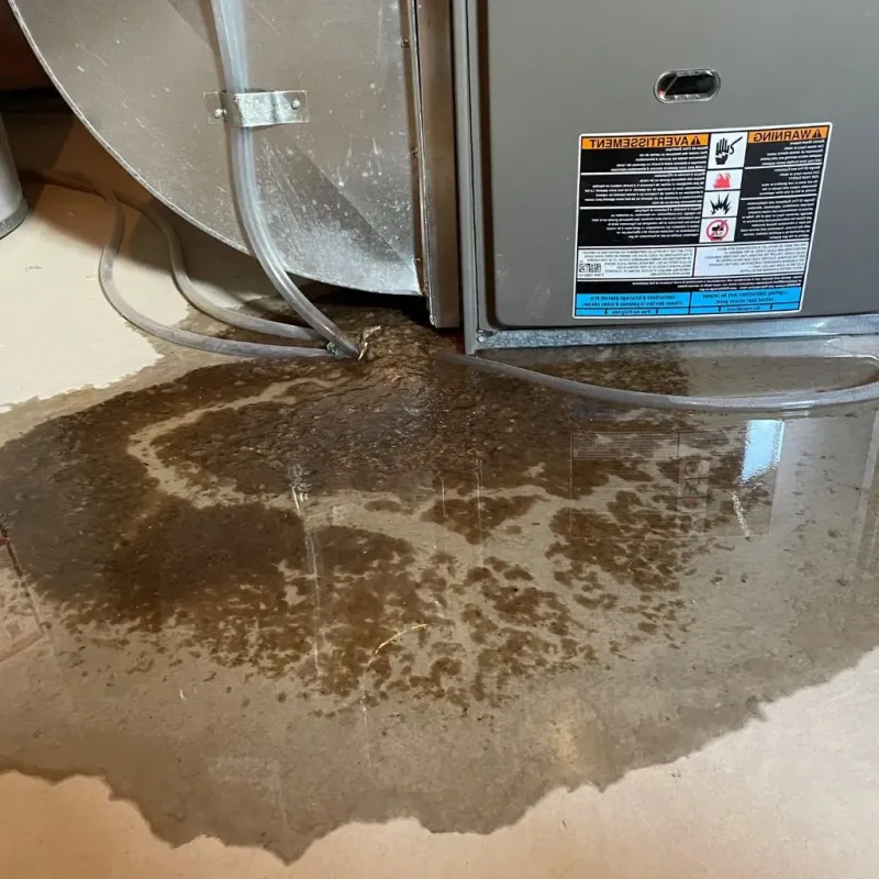 Pipe Burst and Leak Restoration in Harriman, NY